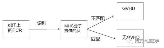 南京卡提